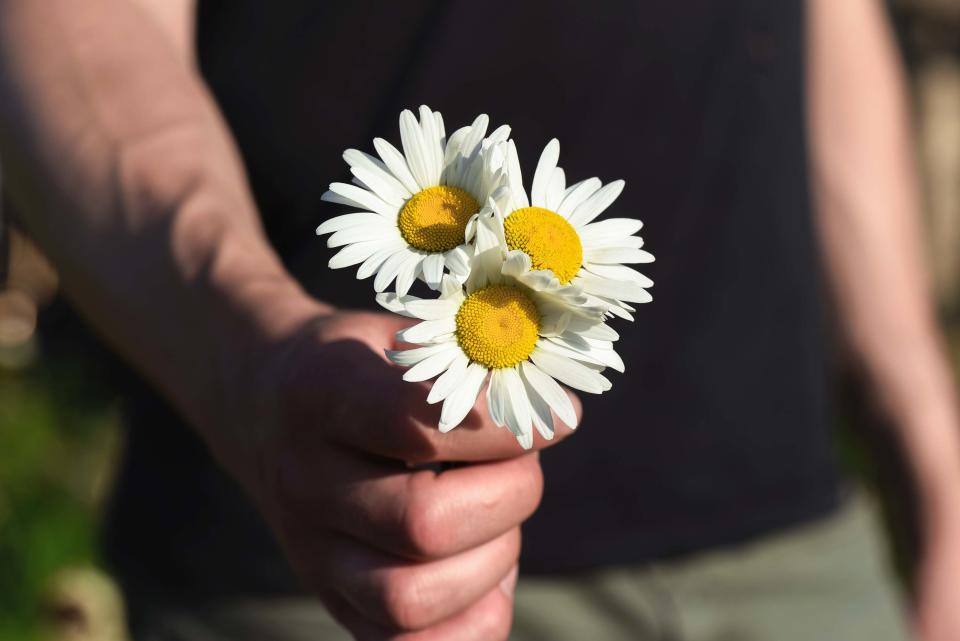 a close up of a man holding three daisies in his hand