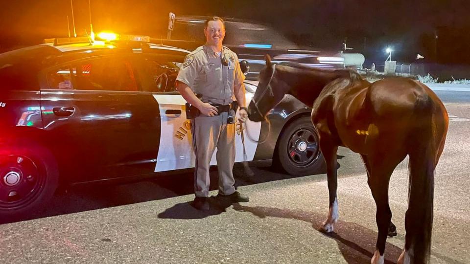 PHOTO: A man has been arrested for driving under the influence while riding his horse with an open container of alcohol, according to the California Highway Patrol Merced. (Facebook / California Highway Patrol Merced)