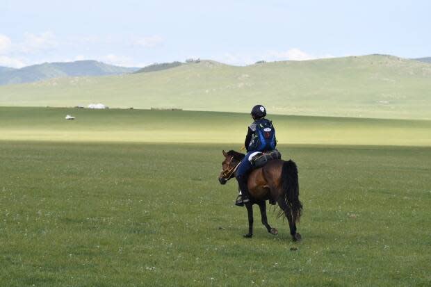 Eldev-Ochir Bayarsaikhan/The Equestrianists
