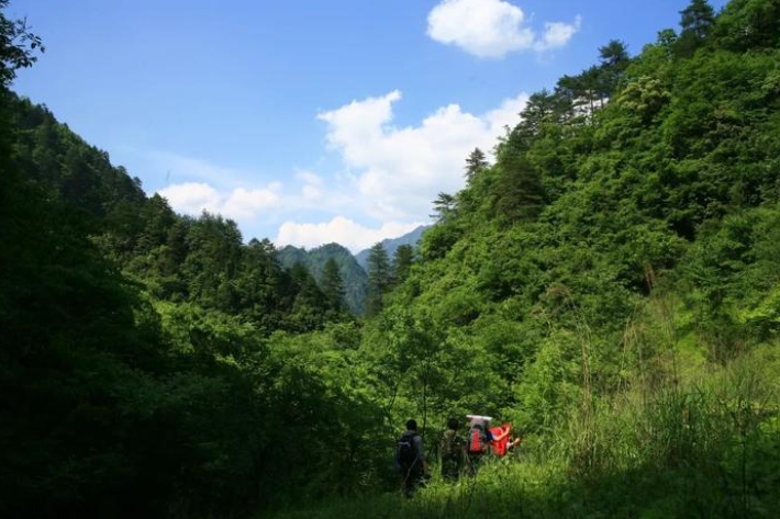 中國湖北神農架景區徵才條件「遇見野人跑得快」，引發網友熱議。翻攝百度