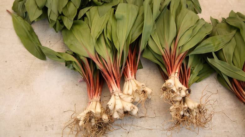 fresh ramps