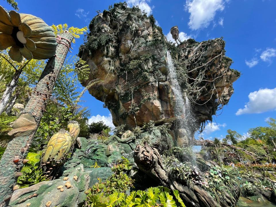 shot of the rock features in the pandora section of animal kingdom