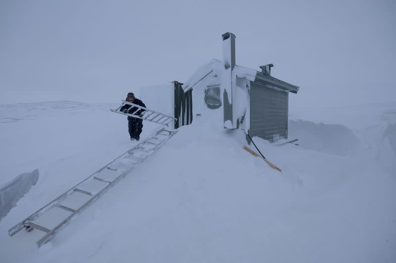 The Wider Image: Norway gives Arctic foxes a helping hand amid climate woes