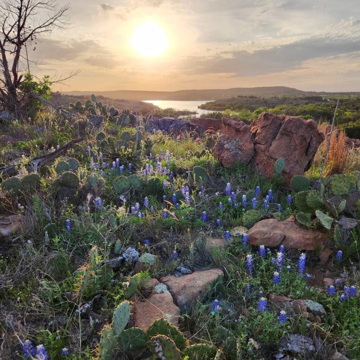 Bluebonnets at Inks Lake State Park on April 1, 2023. The April 2023 KXAN Viewer Photo of the Month winner. (Courtesy Kimberly Payne)