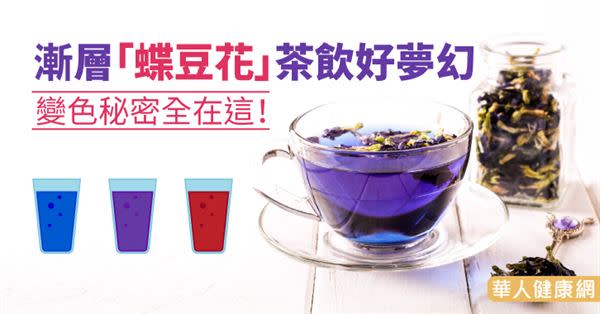 漸層「蝶豆花」茶飲好夢幻　變色秘密全在這！