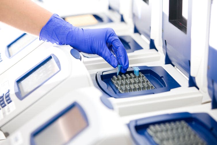 <span class="caption">Amplifying DNA with a PCR machine.</span> <span class="attribution"><a class="link " href="https://www.shutterstock.com/image-photo/scientist-dna-copying-realtime-pcr-cycler-93220282" rel="nofollow noopener" target="_blank" data-ylk="slk:Vit Kovalcik/Shutterstock;elm:context_link;itc:0;sec:content-canvas">Vit Kovalcik/Shutterstock</a></span>