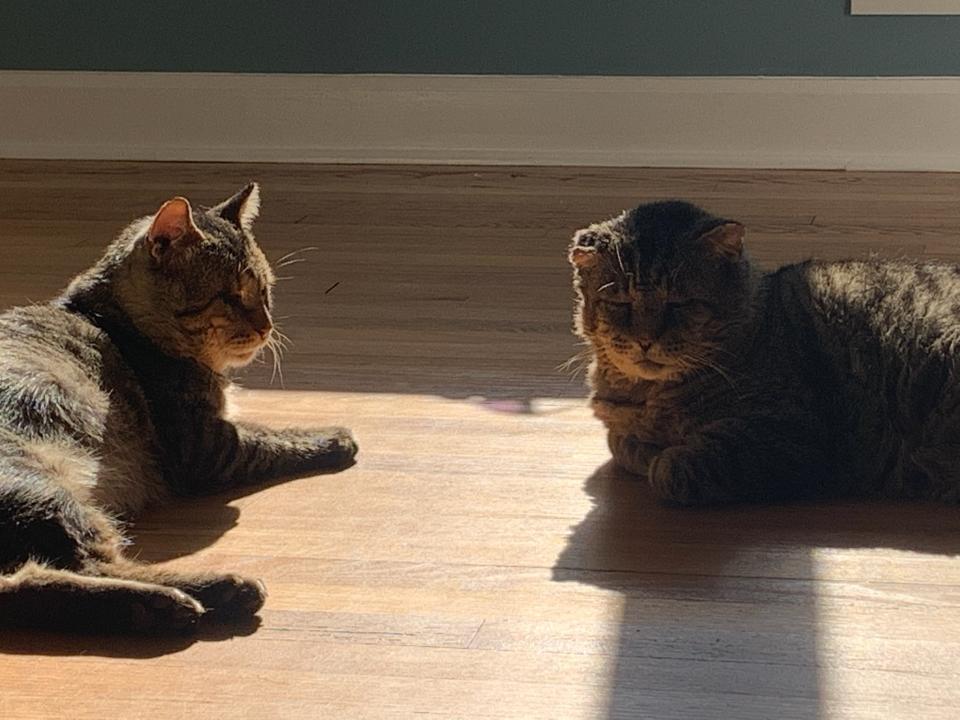 Floyd Mayweather and Sugar Ray Leonard enjoy sunlight. (Melissa Fiore)