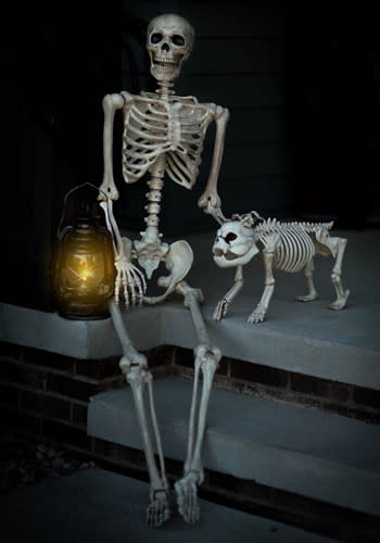 Lifesize Poseable Skeleton. Image via halloweencostumes.com