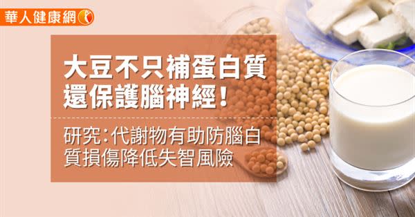 大豆不只補蛋白質　還保護腦神經！研究：代謝物有助防腦白質損傷降低失智風險