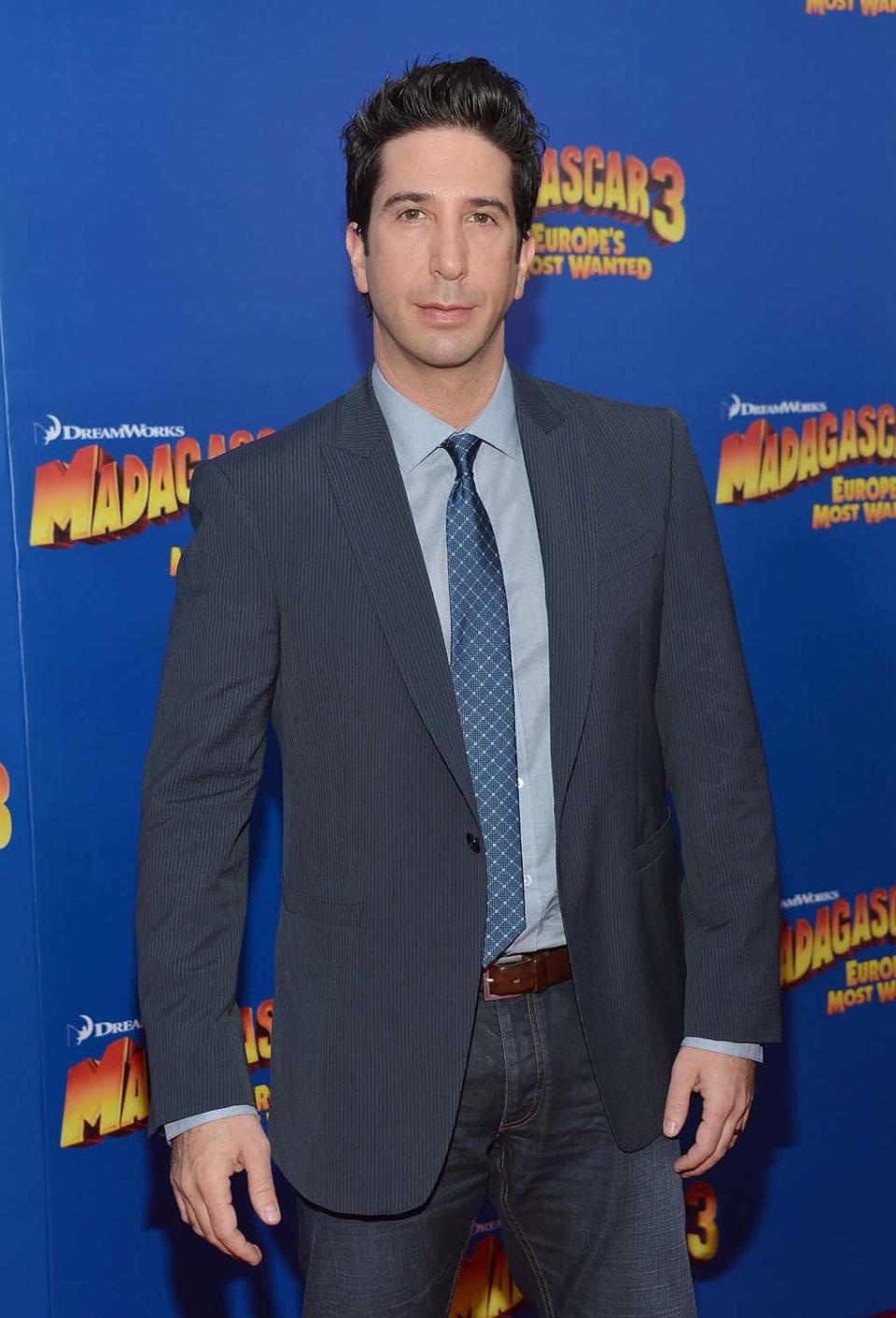 Schwimmer comenzó su carrera como director en la serie 'Joey' y en la película inglesa 'Run Fatboy Run'. Como actor de voz es 'Melmam' (la simpática jirafa) en la saga animada de 'Madagascar'. Mike Coppola/Getty Images