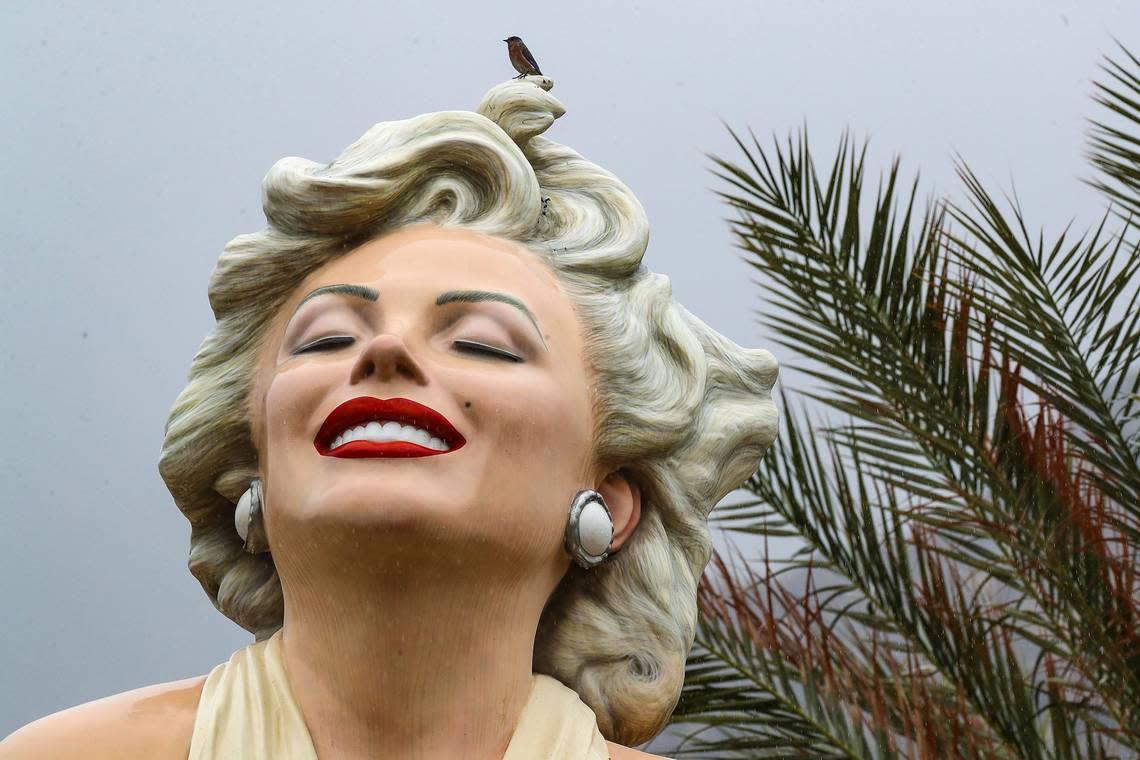A bird perches atop the Forever Marilyn statue on a rainy day in downtown Palm Springs, California.