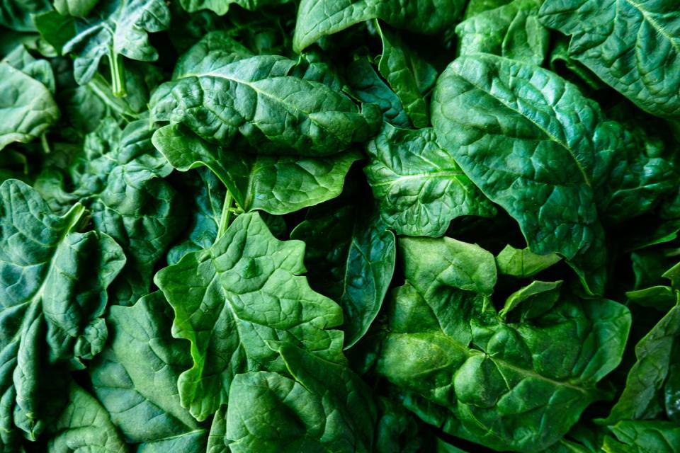 full frame view of fresh curly leaf savoy spinach