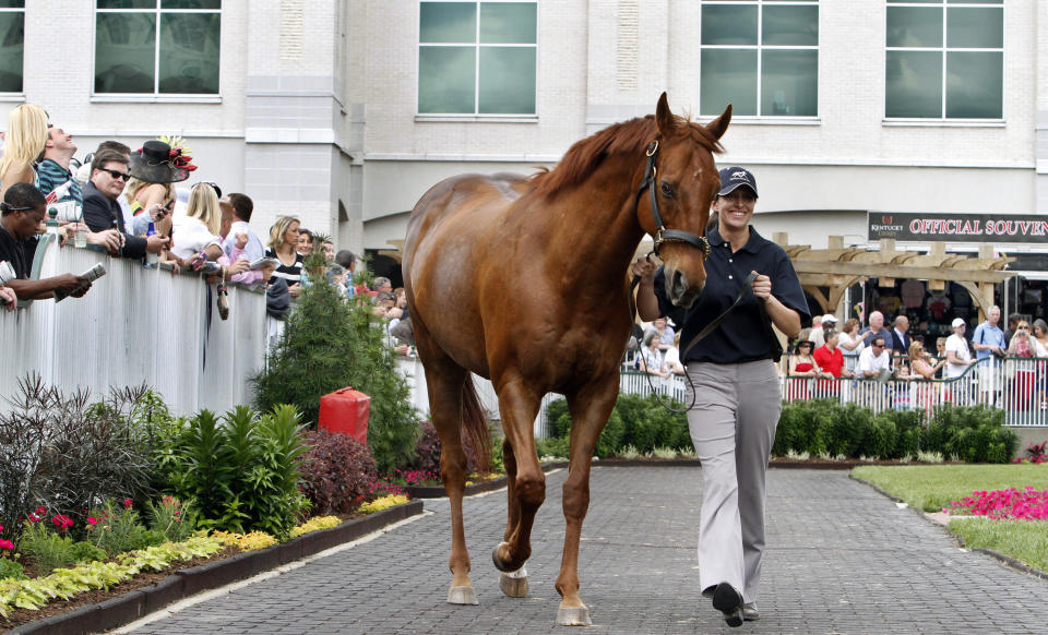 FILE - Kentucky Horse Park worker Dixie Hayes leads 2003 Kentucky Derby winner Funny Cide around the paddock at Churchill Downs, May 2, 2013, in Louisville, Ky. Cide, the “Gutsy Gelding” who became a fan favorite after winning the Kentucky Derby and Preakness in 2003, has died of complications resulting from colic on Sunday, July 16, 2023. He was 23. (AP Photo/Garry Jones, File)