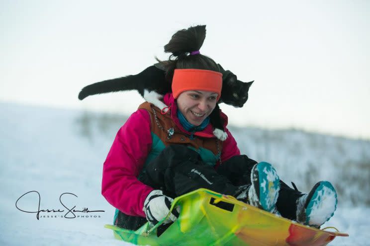 Weston the cat is seen perched atop his sledding partner and human owner, Ashley. Photo from WestonandEllinore/Facebook