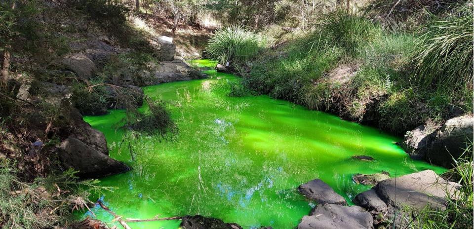 Scotchmans Creek near Glen Waverley showing a bright green glow after the contamination from local business Pebble Mix Finishes. Source: Facebook/Environment Protection Authority Victoria