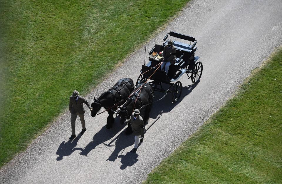 Fell ponies Balmoral Nevis and Notlaw StormAP