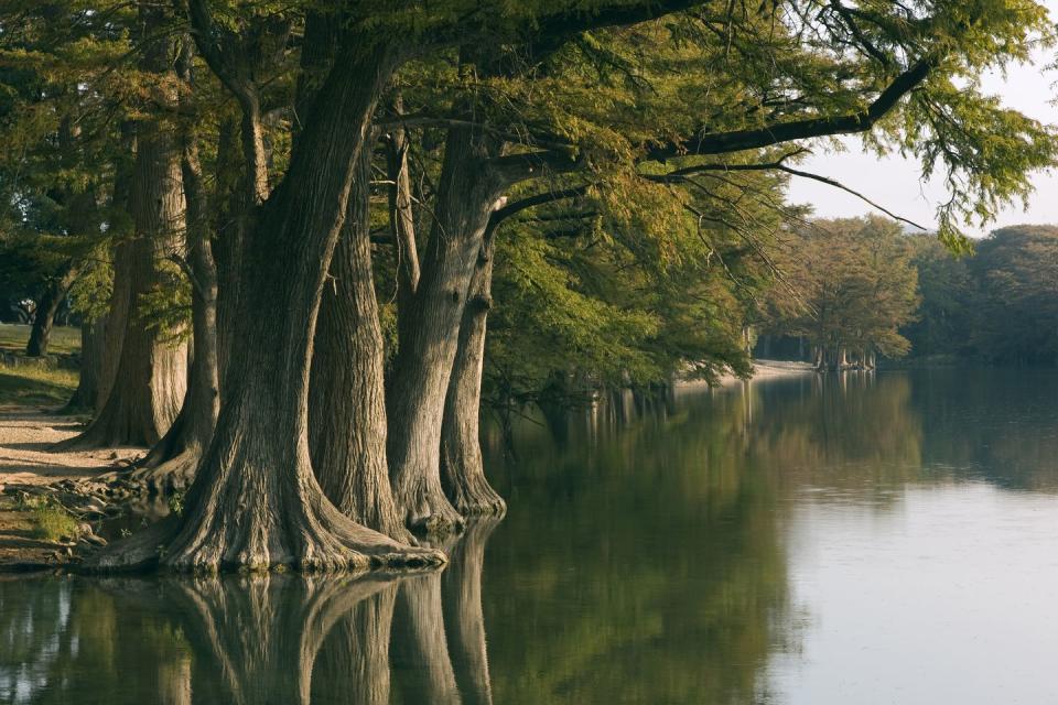 Texas Hill Country