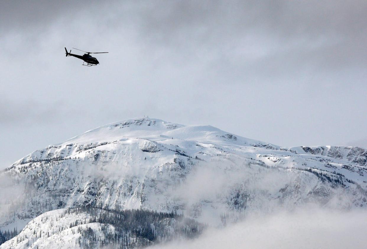 A search and rescue helicopter heads toward an avalanche site in this 2010 photo near Revelstoke, B.C., which is northwest of Castle Mountain Ski Resort where a snowmobiler was killed over the weekend.  (Jeff McIntosh/The Canadian Press - image credit)