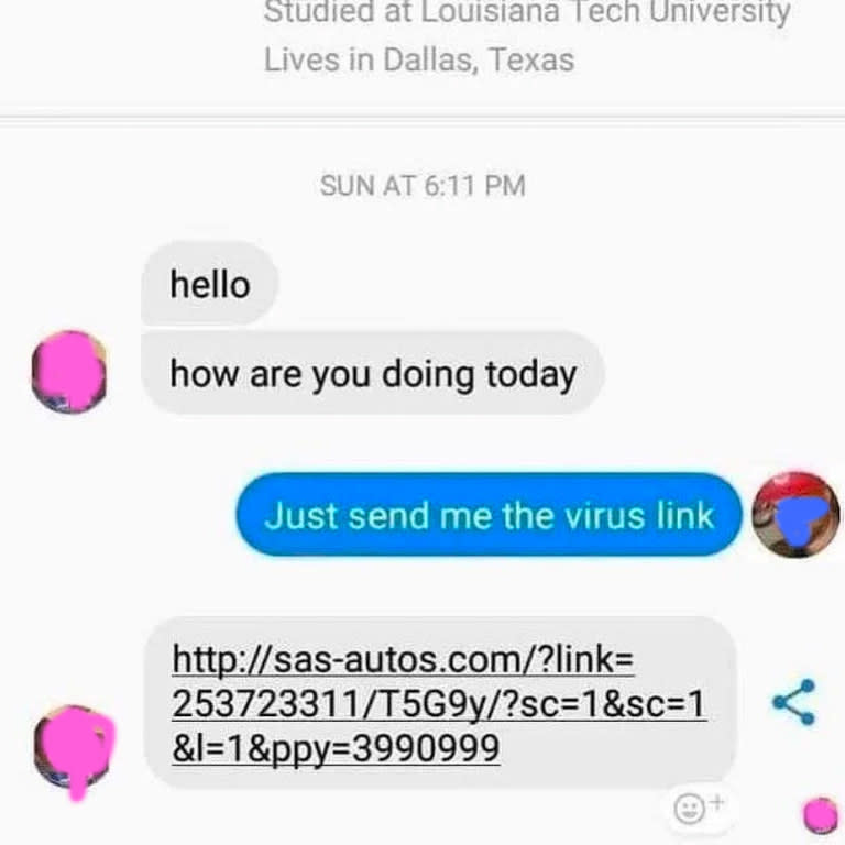 person asks a scammer just to send the virus link and they do