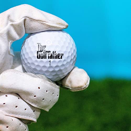 Perfect Life Ideas Funny Golf Balls for Men - 6 Pack Fathers Day Golf Balls  - Novelty Golf Balls - Best Golf Gifts for Men Unique