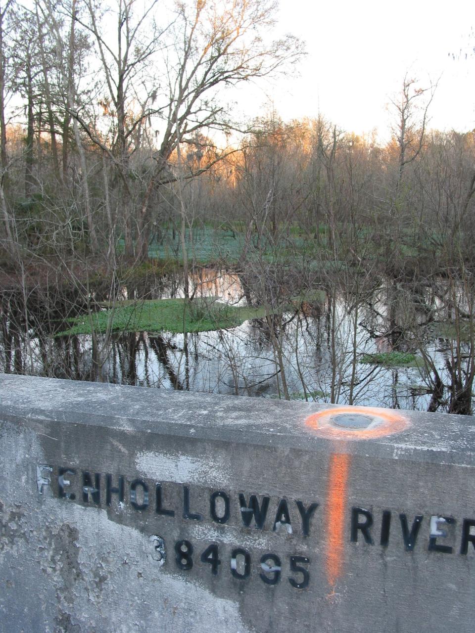 The Fenholloway River is shown here near Perry downstream from the Buckeye Florida mill in this file photo. Some environmentalists and residents were against a proposal to move the pulp mill's discharge to near the Gulf of Mexico. The Foley Cellulose mill in Perry, Florida, announced on Sept. 18, 2023, that Georgia-Pacific plans to permanently close the plant.