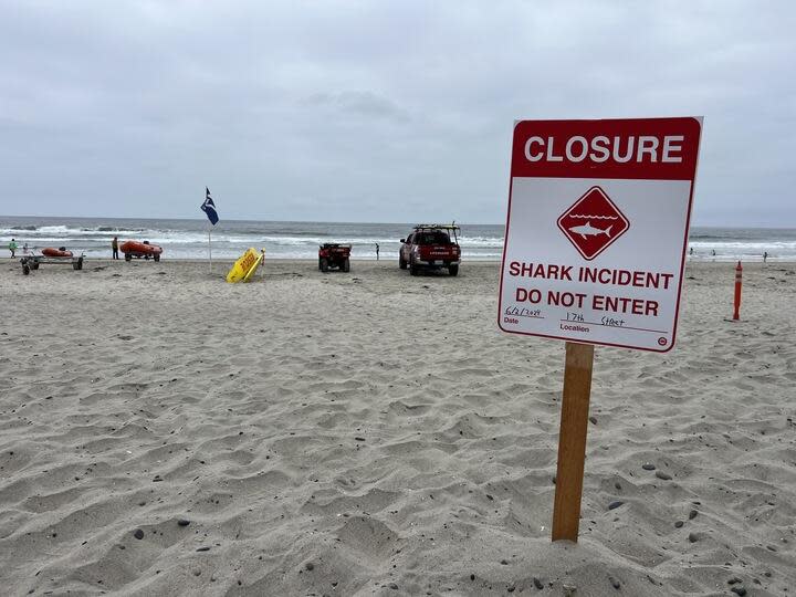 A two-mile stretch of beach in Del Mar was closed after a swimmer was attacked Sunday morning.