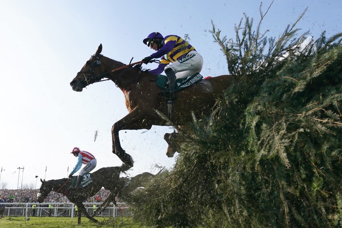The 2024 Grand National festival takes place 11-13 April (Mike Egerton/PA Wire)