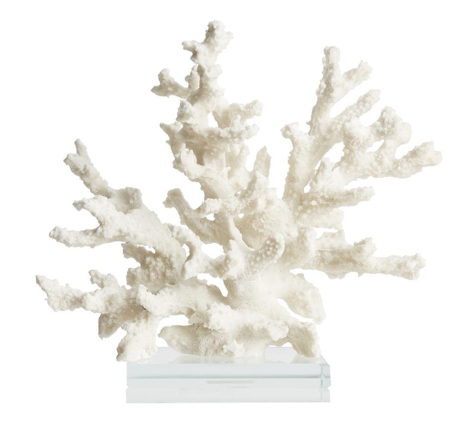 <p><a href="https://go.redirectingat.com?id=74968X1596630&url=https%3A%2F%2Fwww.potterybarn.com%2Fproducts%2Fbranching-coral-clear-base-object%2F&sref=https%3A%2F%2F" rel="nofollow noopener" target="_blank" data-ylk="slk:Shop Now;elm:context_link;itc:0;sec:content-canvas" class="link ">Shop Now</a></p><p>Branching Coral With Clear Glass Base</p><p>potterybarn.com</p><p>$69.00</p>