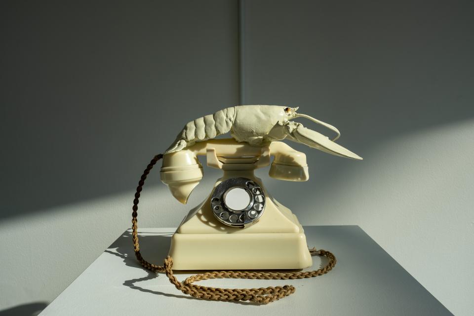 A white landline with a lobster as a reciever