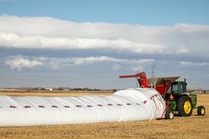 Farmers use plastic grain bags to store harvested grains until ready to be taken to market. A new pilot in the Peace River Regional District enables farmers to recycle the used grain bags and twine when they are finished with them. - Cleanfarms Photo