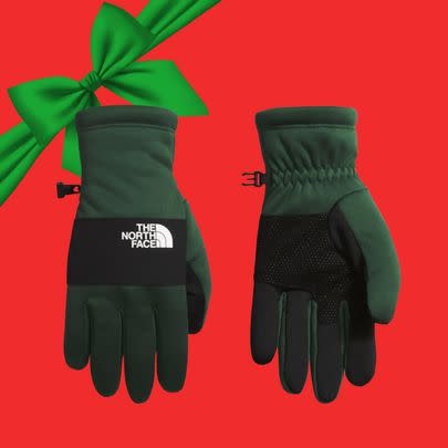 The North Face Sierra E-Tip gloves