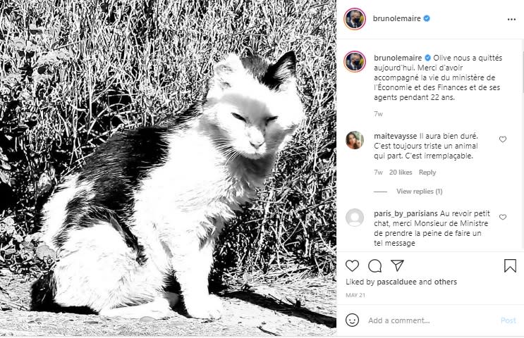 Le Maire paid tribute to the 22-year-old cat who was a beloved member of the ministry. (Screengrab from Bruno Le Maire/Instagram)