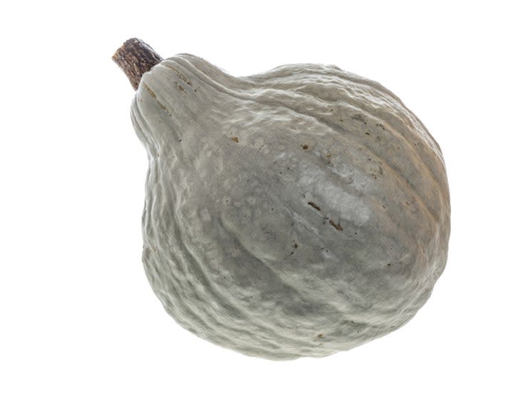 Blue hubbard squash