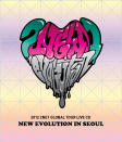 2NE1 releasing live album 'NEW EVOLUTION IN SEOUL'