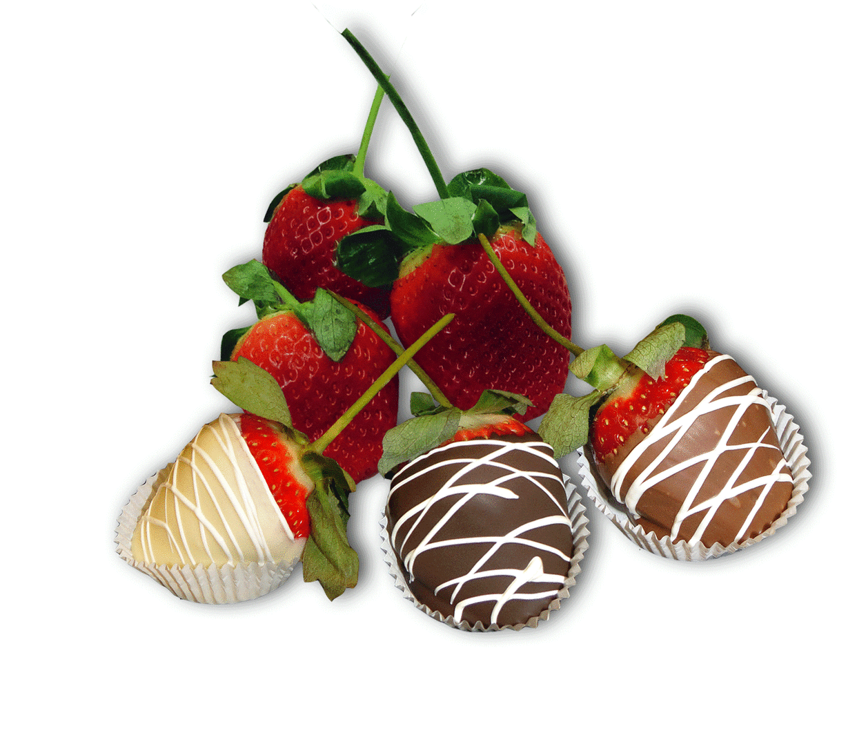 Long-stemmed chocolate-dipped strawberries for sale at Fedeles this Valentines Day.