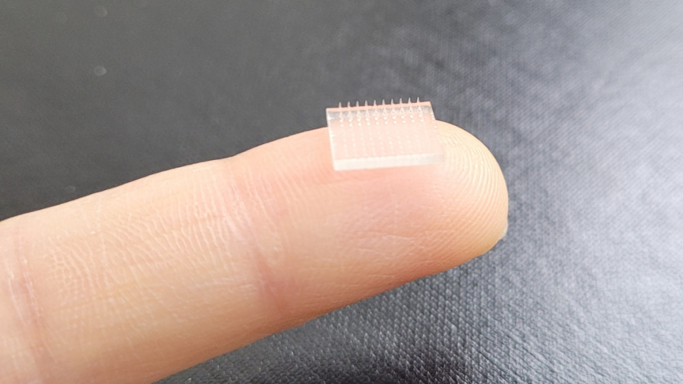 A 3D-printed vaccine patch.