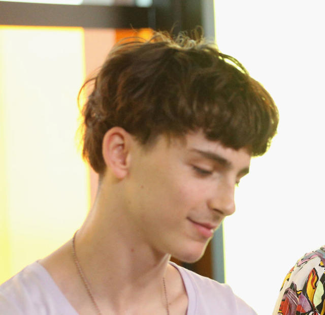 Timothée Chalamet Got a Haircut and I Need a Moment to Process It