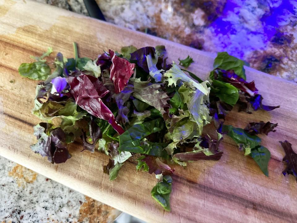 Chopped spring mix.