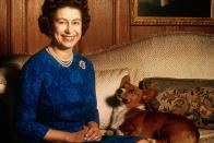 <p>The Queen's corgis have power, too. They essentially have free rein to do as they please because it's common knowledge in the palace that nobody is allowed to yell at the dogs, no matter their behavior.</p>