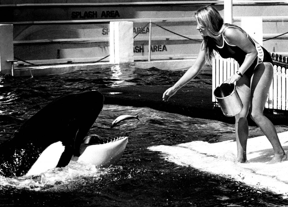 Breakfast for Lolita is tossed to Lolita in this file photo.