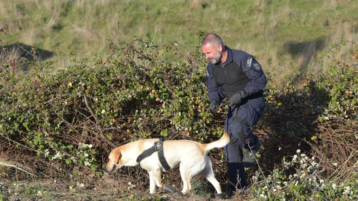 Police discovered ‘some items of interest’ in their renewed search effort for missing mum Samantha Murphy. Picture: NewsWire/ Ian Wilson