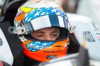 May 24, 2019; Indianapolis, IN, USA; IndyCar Series driver Santino Ferrucci during Carb Day practice for the 103rd Running of the Indianapolis 500 at Indianapolis Motor Speedway. Mandatory Credit: Mark J. Rebilas-USA TODAY Sports