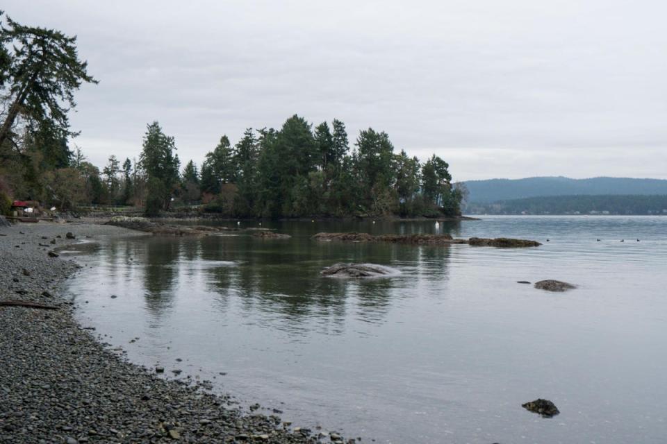 Trees shielding Harry and Meghan’s temporary home in North Saanich (Getty Images)