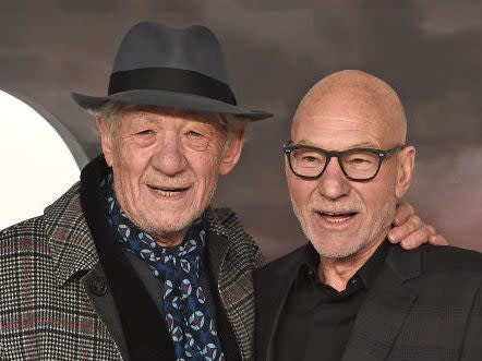Ian McKellen and Patrick Stewart at the UK premiere of 'Star Trek: Picard' in January 2020: Eamonn M. McCormack/Getty Images