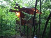 <p>In the woods of Middle Grove, New York, visitors can climb a winding staircase to this cozy, treetop cabin. It's outfitted with an outdoor kitchen, full bath, fire pit, and deck that's ideal for overlooking the surrounding greenery.</p><p><a class="link " href="https://www.airbnb.com/rooms/2403570" rel="nofollow noopener" target="_blank" data-ylk="slk:BOOK NOW;elm:context_link;itc:0;sec:content-canvas">BOOK NOW</a> <strong><em>Adirondack Treehouse Retreat</em></strong><br></p>