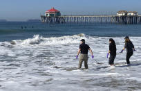 Officials release birds after they were treated for oiling and have now recovered from the Huntington Beach shore on Wednesday, Oct. 20, 2021. The spill washed blobs of oil ashore affecting wildlife and the local economy, though the environmental damage so far has been less than initially feared. But environmental advocates say the long-term impact on sensitive wetland areas and marine life is unknown and shop owners in surf-friendly Huntington Beach fear concern about oil will keep tourists away even once the tar is gone. (AP Photo/Amy Taxin)