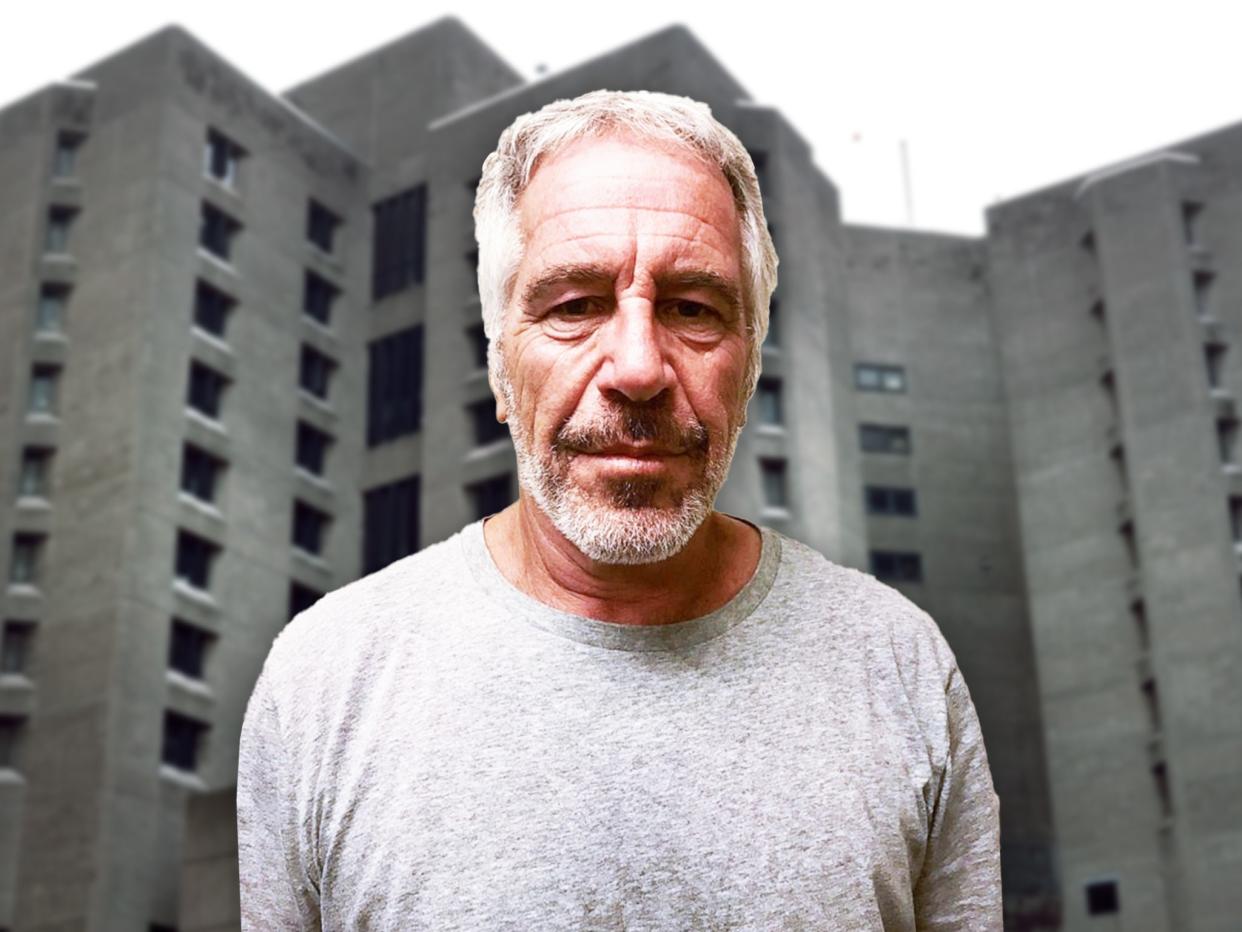 Jeffrey Epstein died aged 66 while awaiting trial on underage sex trafficking charges (New York State Sex Offender Registry/Getty)