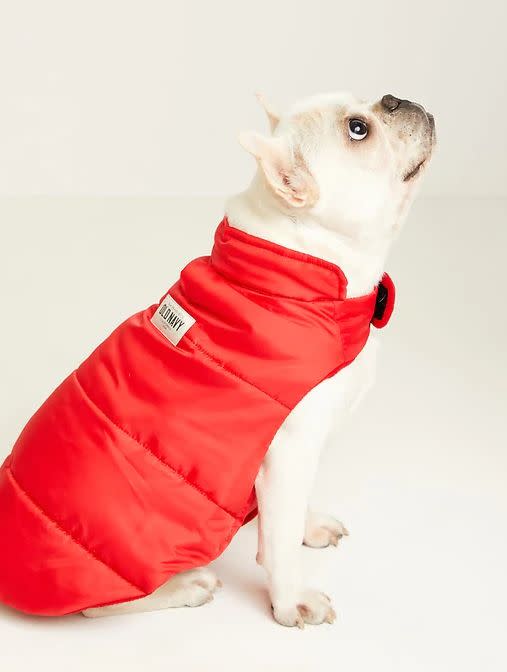 This Cozy Puffer Jacket for Pets is available in sizes S to L and two colors. <a href="https://fave.co/3f1Cj6N" target="_blank" rel="noopener noreferrer">Get it on sale for 50% off (normally $16) at Old Navy</a>.