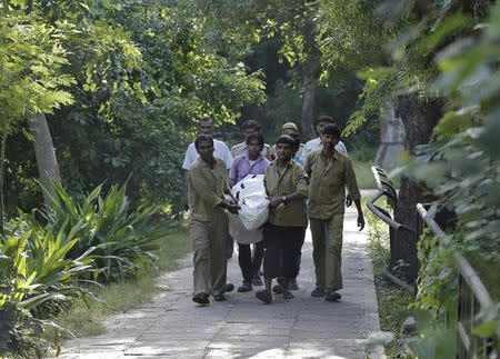 Zoo workers carry the body of a school student who was mauled to death by a white tiger at the National Zoological Park in New Delhi September 23, 2014. REUTERS/Anindito Mukherjee