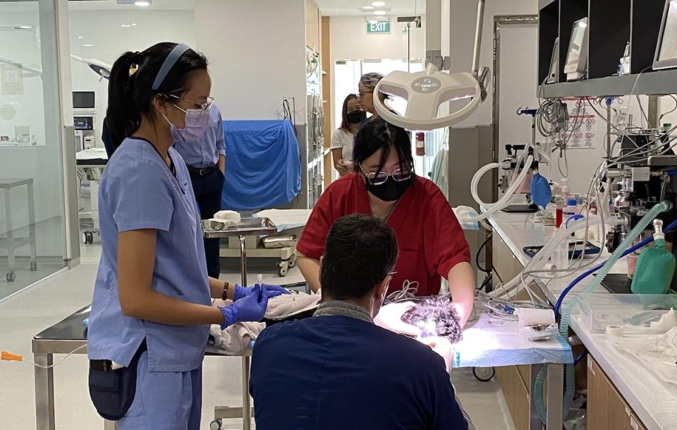 Vets and specialists at VES Hospital Singapore diagnose complex injuries or diseases among pets. (PHOTO: Chia Han Keong/Yahoo Lifestyle Singapore)